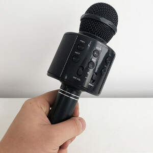 Микрофон WS-858 WSTER BLACK. Цвет: черный